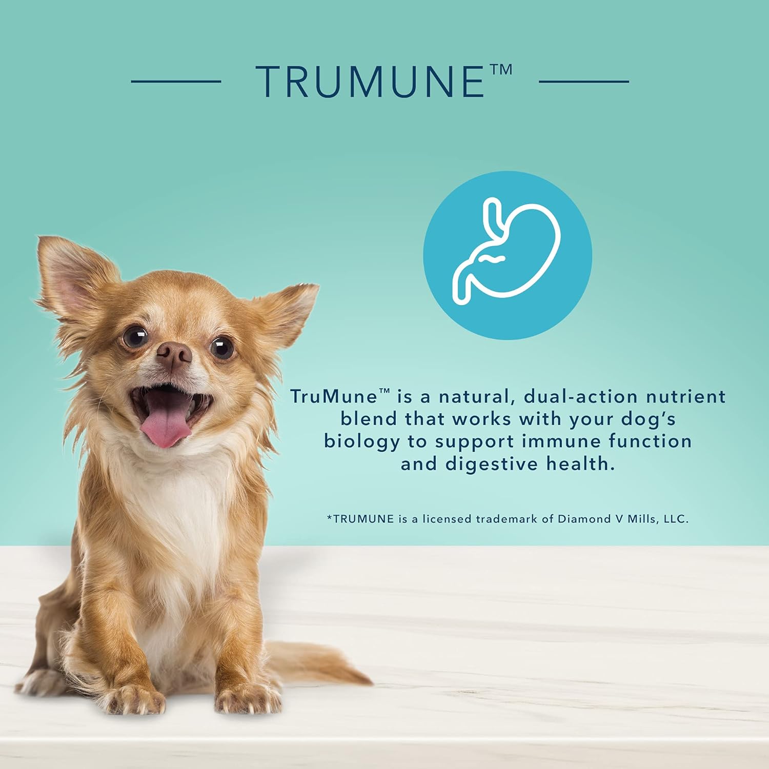 Blue Buffalo True Solutions Small & Mighty Natural Wet Food for Adult Small Breed Dogs, Chicken, 5.5-oz cans (24 Count) - Image 6