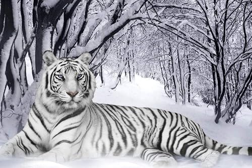 Póster artístico impreso en lienzo para decoración de pared (nieve de tigre blanco) Tamaño 20 x 30 pulgadas