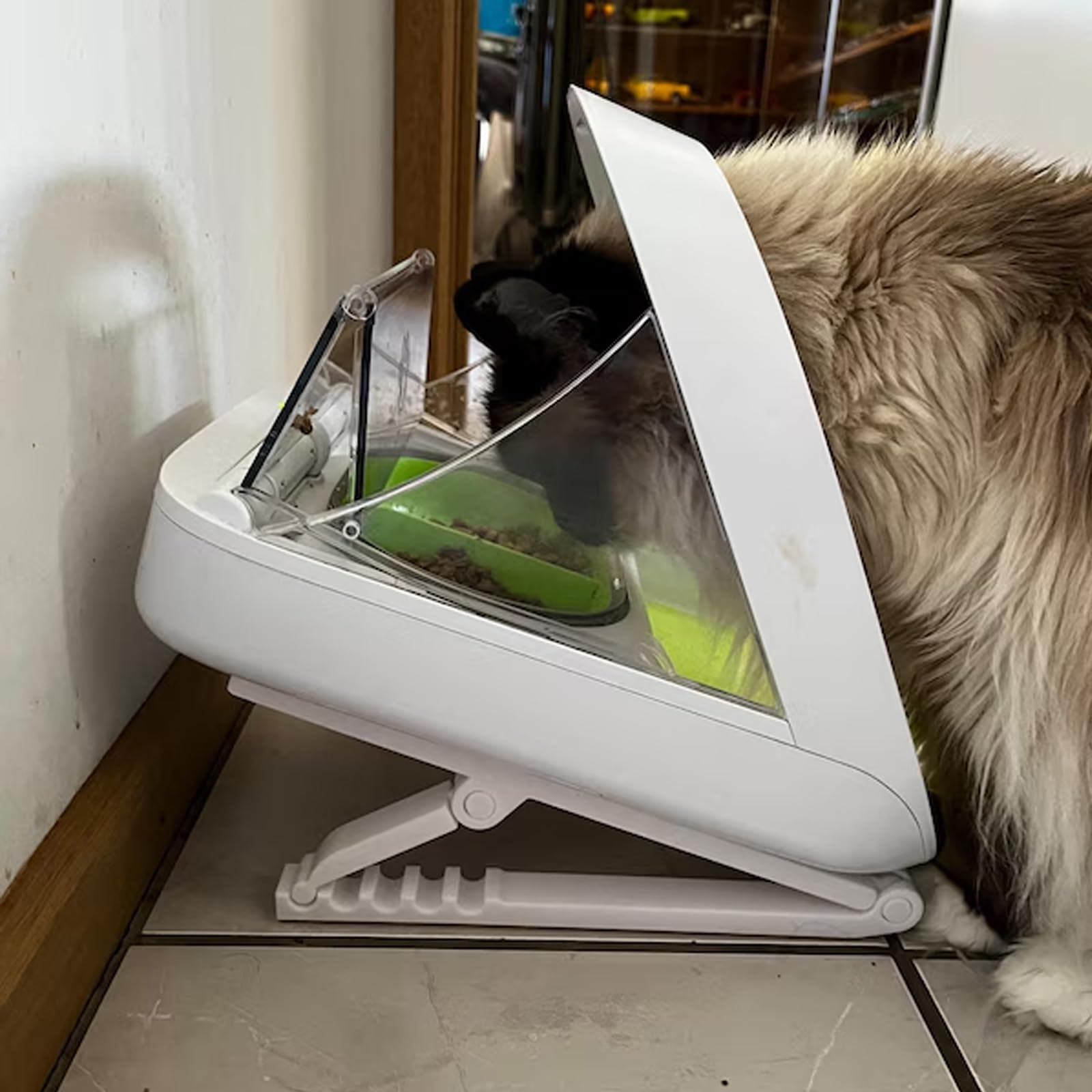 Amazon.com: Adjustable Stand for SureFeed Microchip Pet
