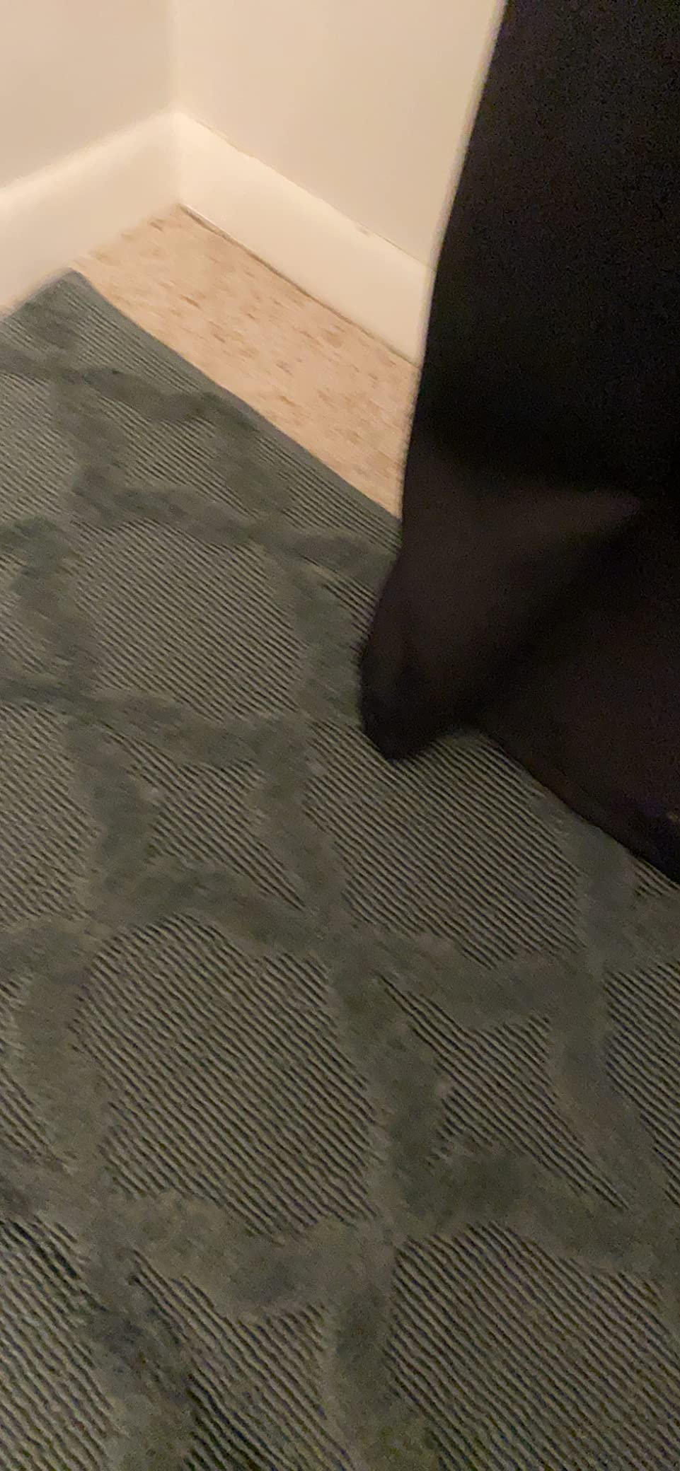 22/mo Finance Garland Rug Sparta 9 ft. x 12 ft. Area Rug Cinder Gray