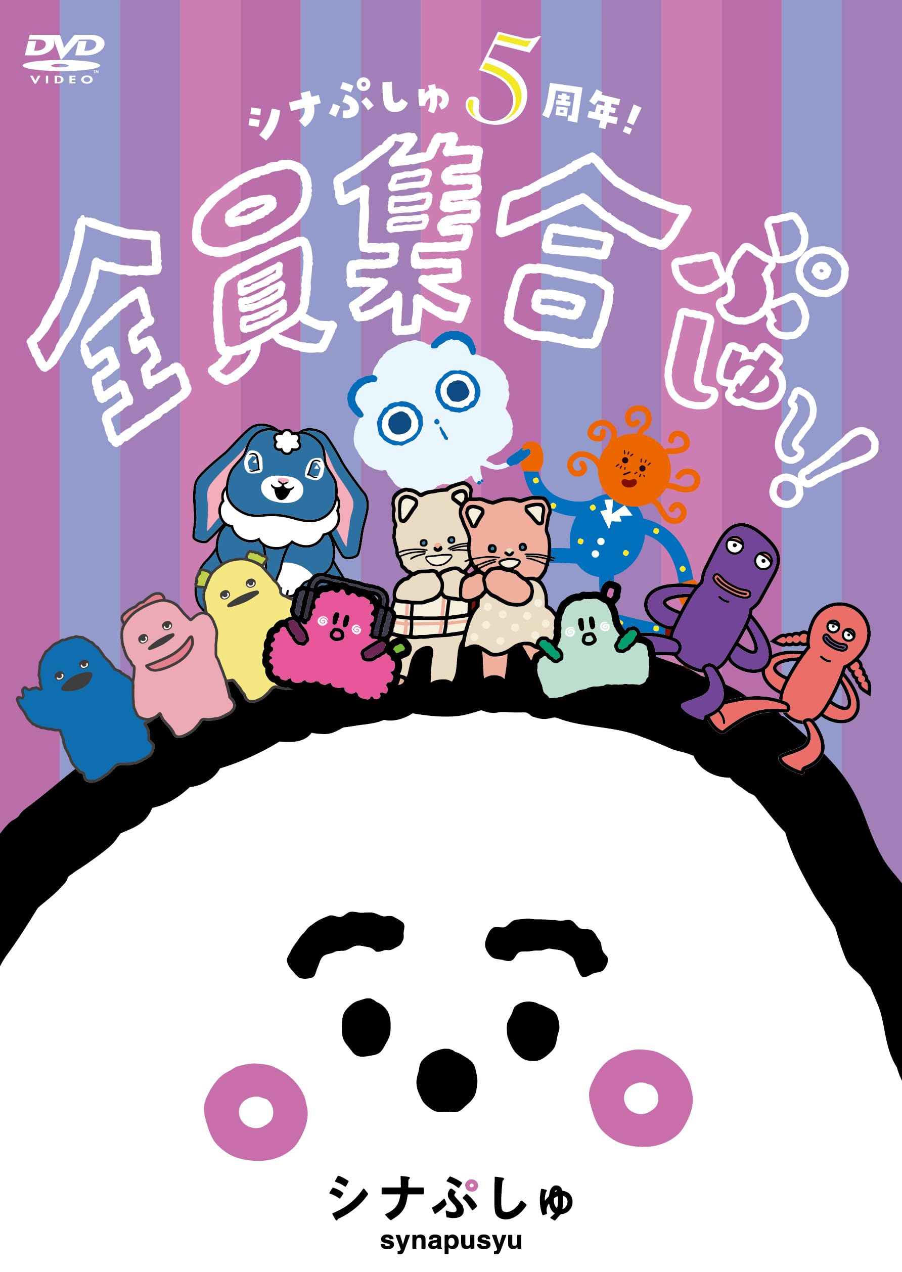 Amazon.co.jp: シナぷしゅ 5周年！全員集合ぷしゅ～！〔通常盤DVD