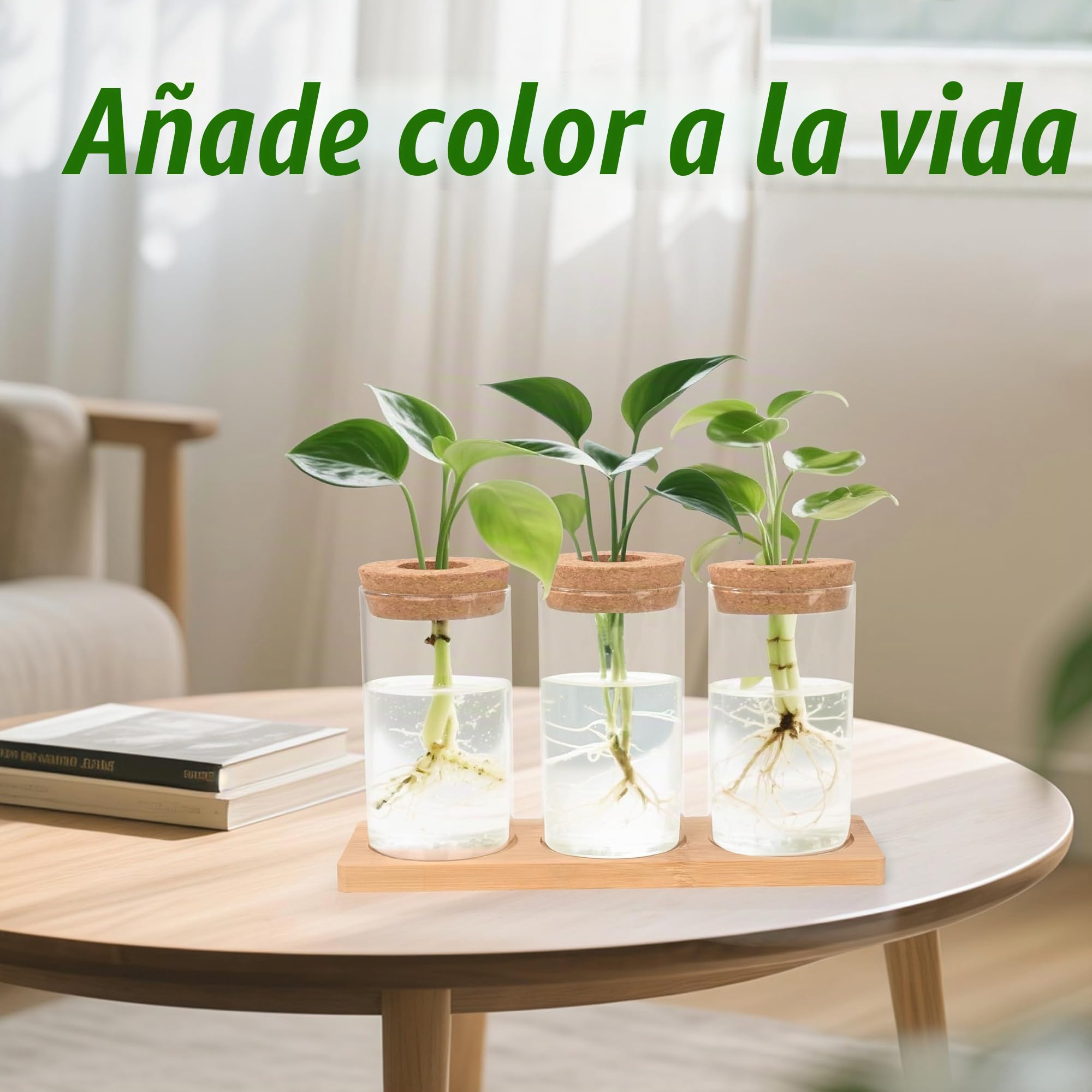 Estación de Propagación de Plantas Jarrón de Cristal para Plantas con Corcho Base de Madera 3 Piezas para Plantas de Hidrocultivo