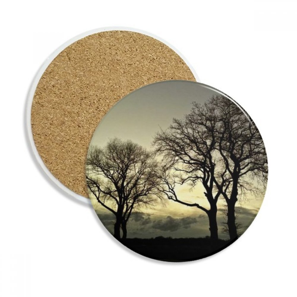 Dessous de verre en pierre absorbante motif paysage arbre, un cadeau idéal pour vos proches