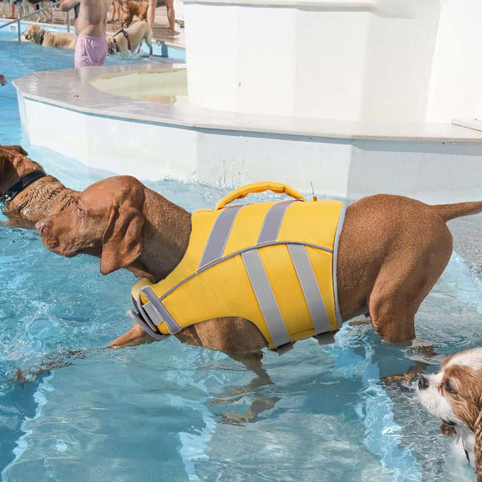 Kuoser Chaleco salvavidas para perros con rayas reflectantes, chaleco ajustable de alta visibilidad, salvavidas Ripstop, traje de baño de alta flotación para perros pequeños, medianos y grandes