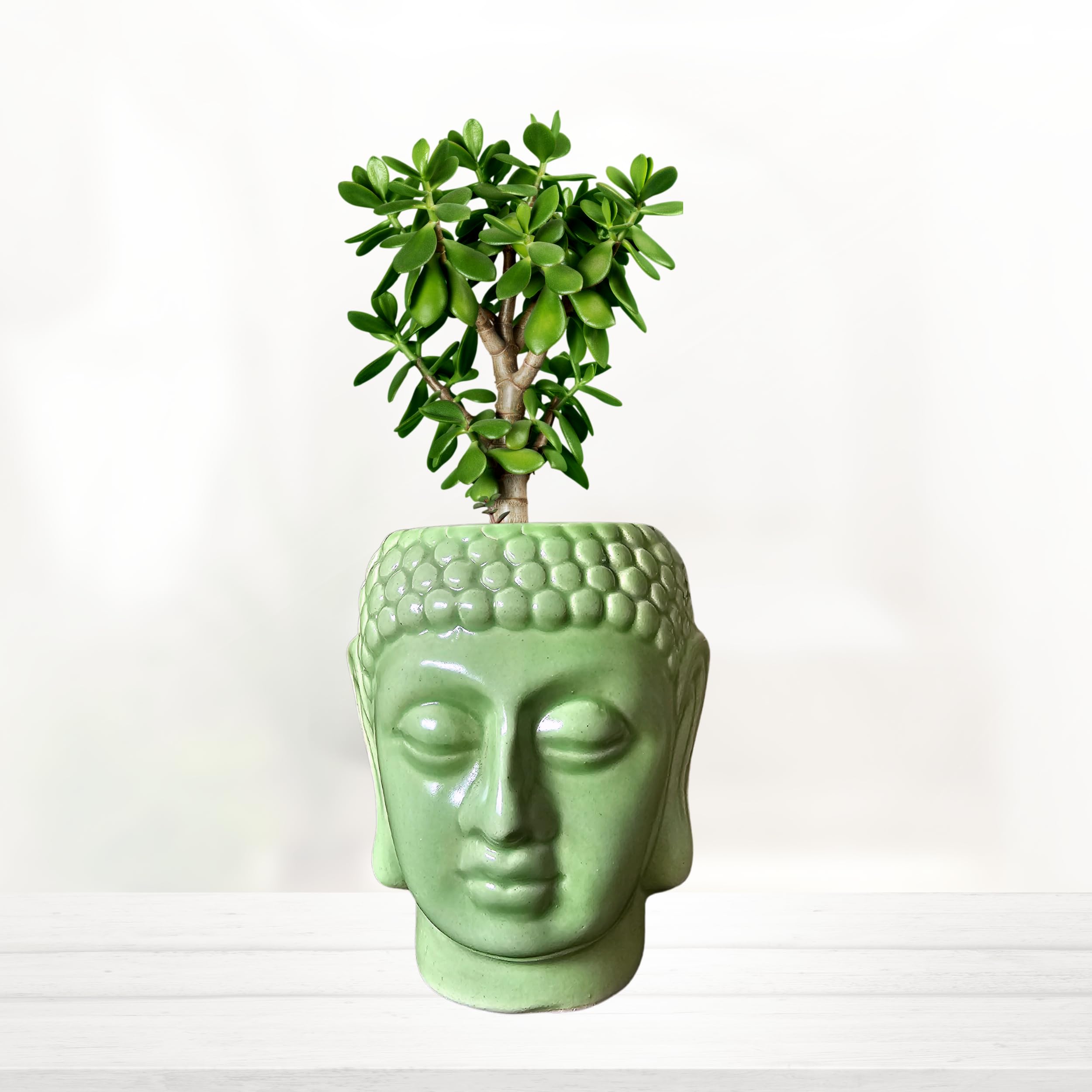 SHAVI DE Small Buddha Ceramic planters, Table Pinnacle Indoor Planter Pot, Ceramic Planter for Indoor Plants and Succulents Pot (12cm X 11cm) (Mint Glossy) (B0BWMXSV1F) Amazon Price History, Amazon Price Tracker