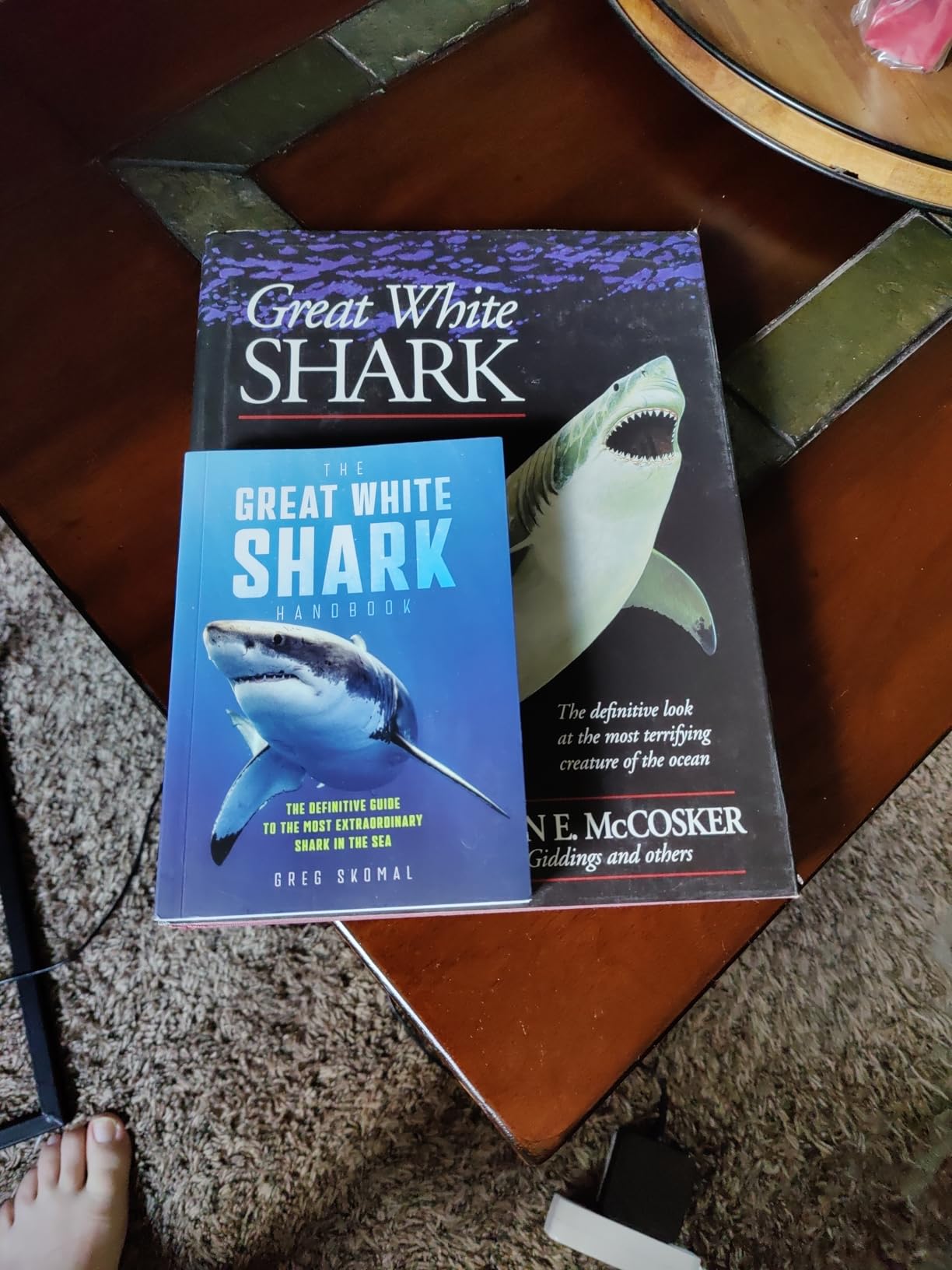 Amazon.com: The Great White Shark Handbook: The Definitive Guide to the ...