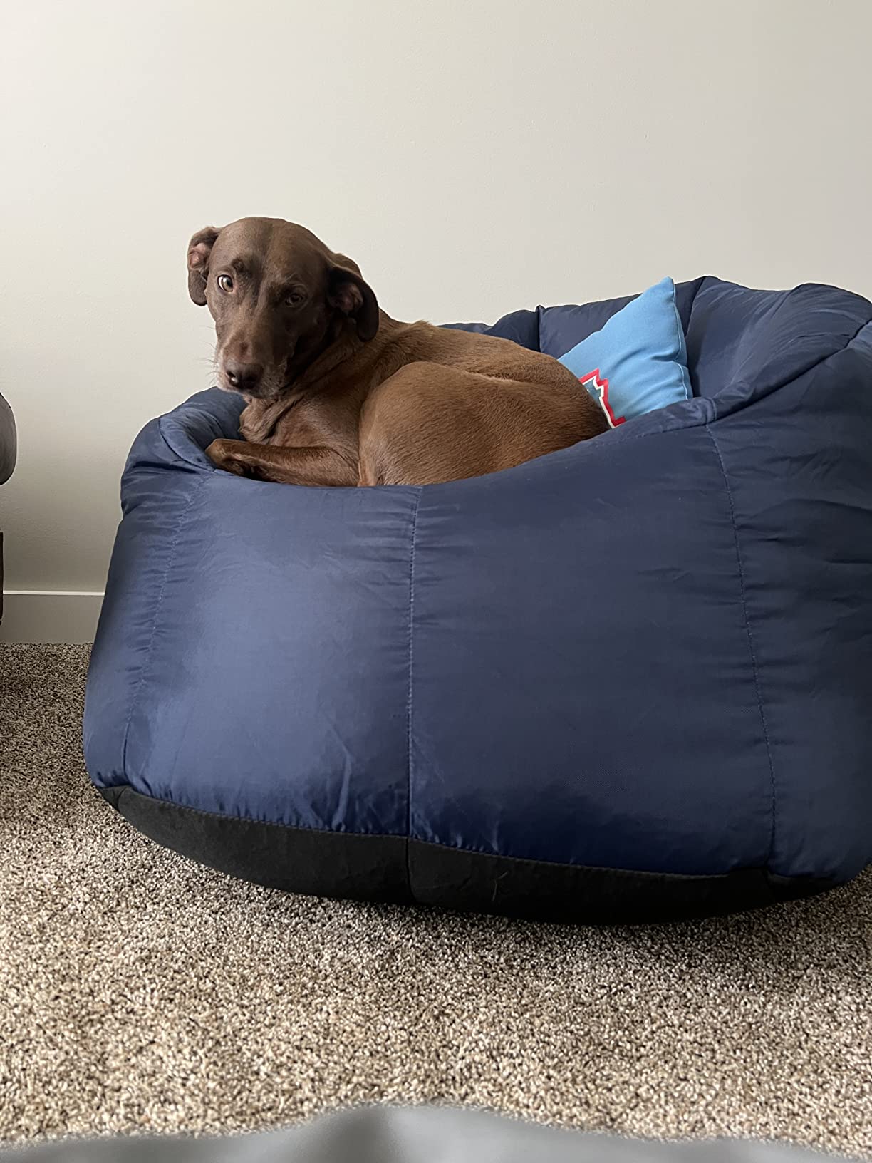 17/mo Finance Big Joe Milano Beanbag Chair Stretch Limo Black