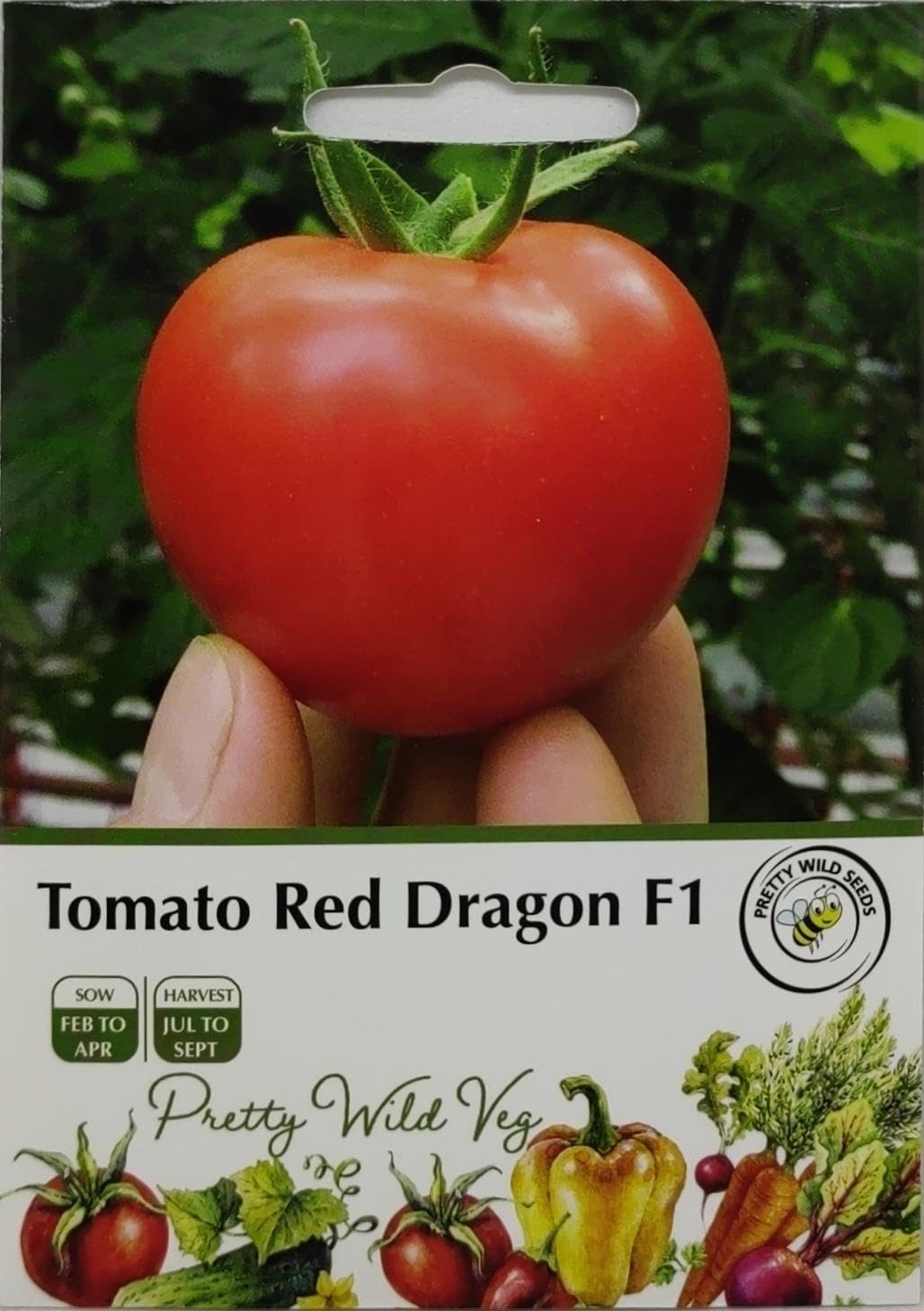 Cucumber Cucamelon Seeds in Pictorial Packet from a UK Seller Cute Fruits with Unique Crunch & Flavour — view 50