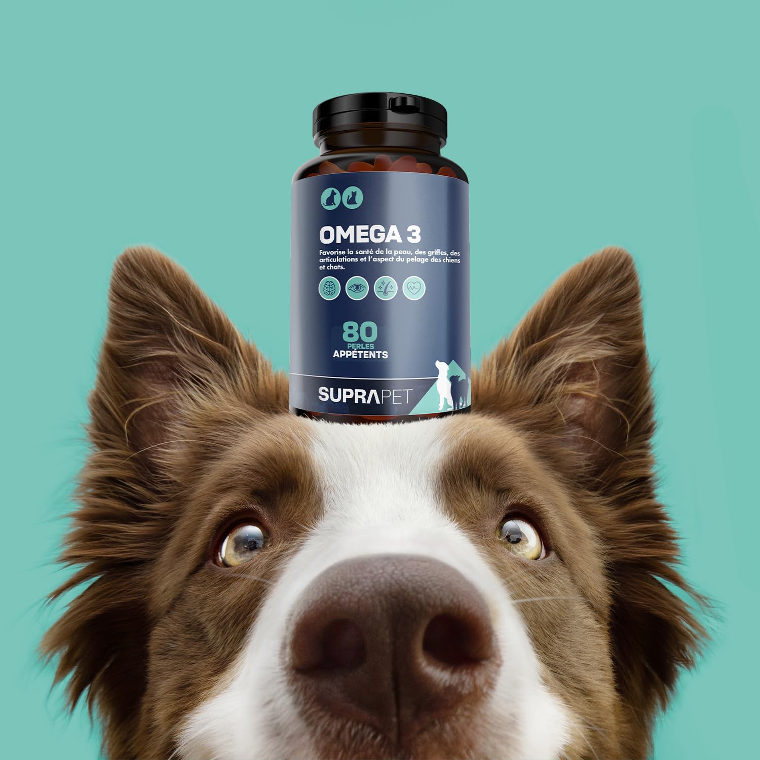 Suprapet Omega 3 pour Chiens et Chats Huile de Poisson, EPA, DHA et Vitamine E 80 Perles. Aliment Complémentaire Naturel pour Le Pelage et Les Articulations (80 unités, Boîte de 1).