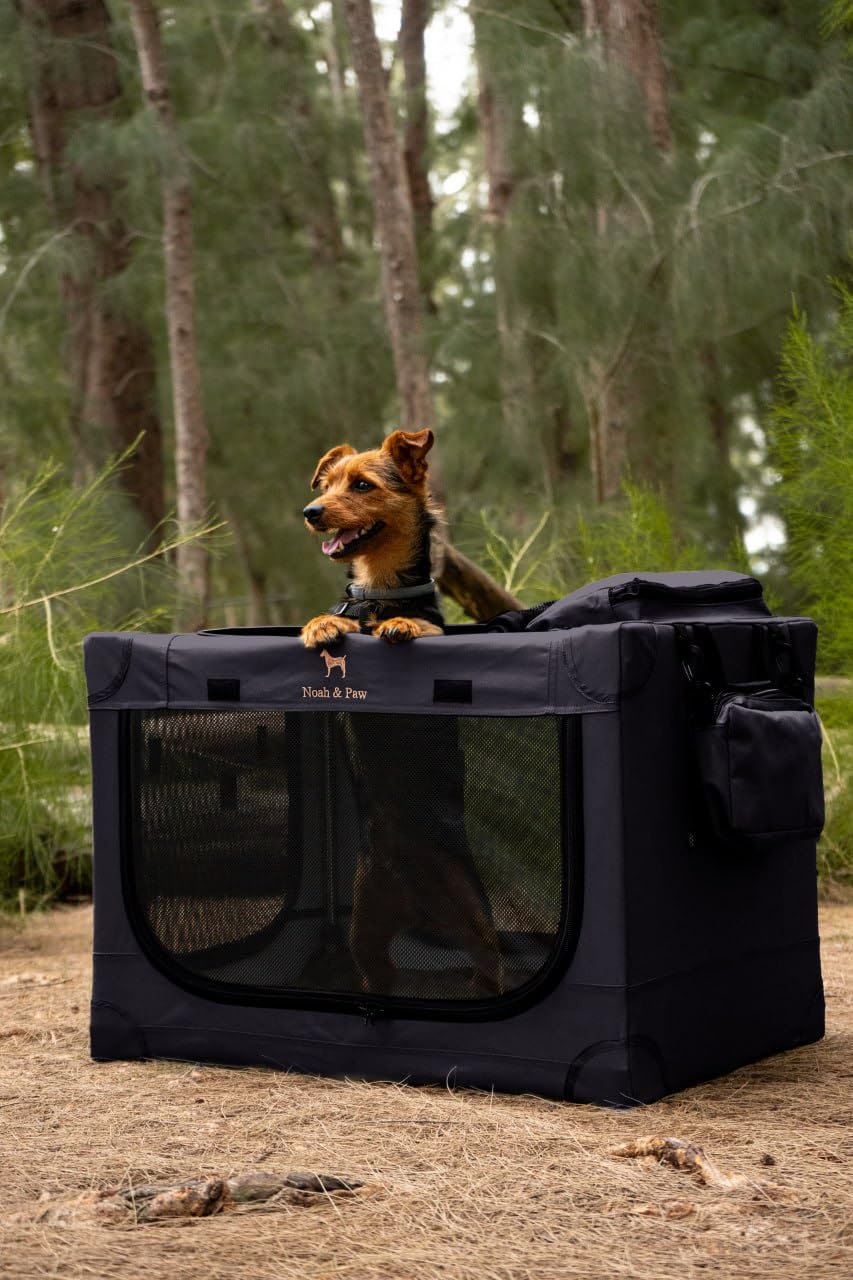 Noah & Paw Collapsible Dog Crate 36 Inches, XL Dog Crate for XL, Large Medium Breed, Travel Kennel for Car, Includes Pet Mat for Pet Cage, 2 Storage Pockets, Handbag, 10mm Locking Zippers 36*25*23