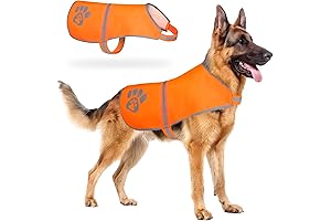 Reflective Dog Safety Vest: The Ultimate Protection for Your Canine Companion