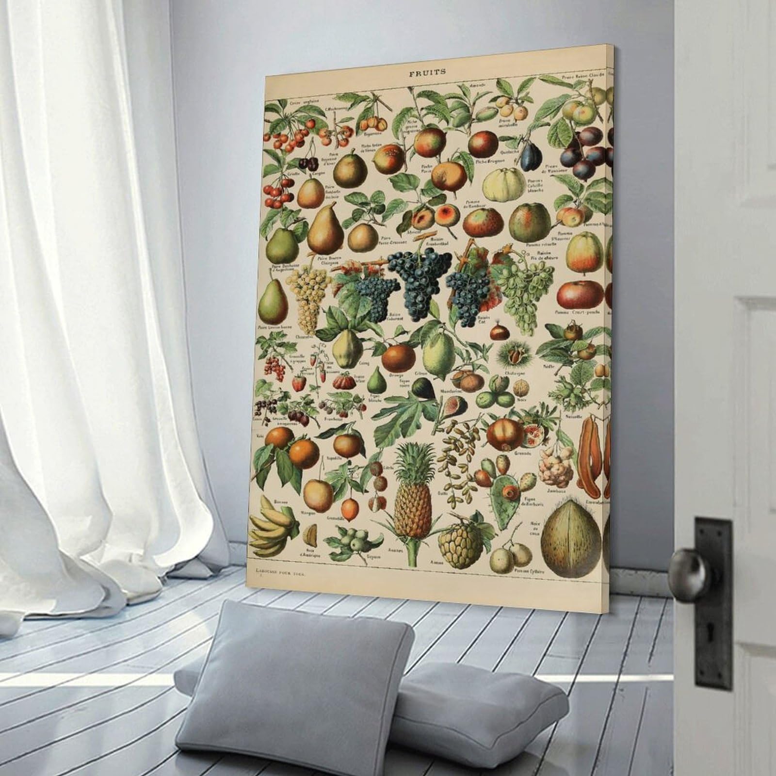 Junmoney FRUITS by Adolphe Millot Home Decor Wall Art, 08x12inch(20x30cm), for Apartment Walls, Studios Or Work Areas, Wall Decor with Flexible Room Appeal