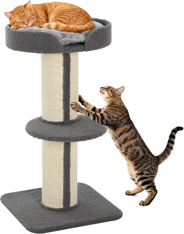 PawHut Arbre à Chat, Poteau à griffer pour Chat, Tissu Bouclette, Centre d'activités, 2 Plate-Formes, Hauteur 91 cm, Gris