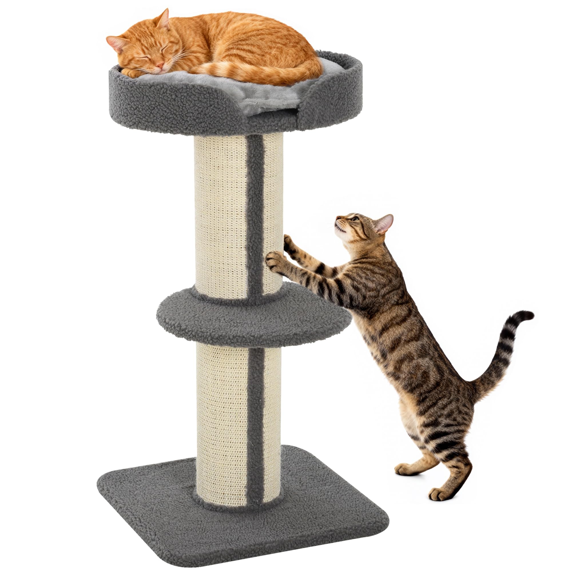 PawHut 36