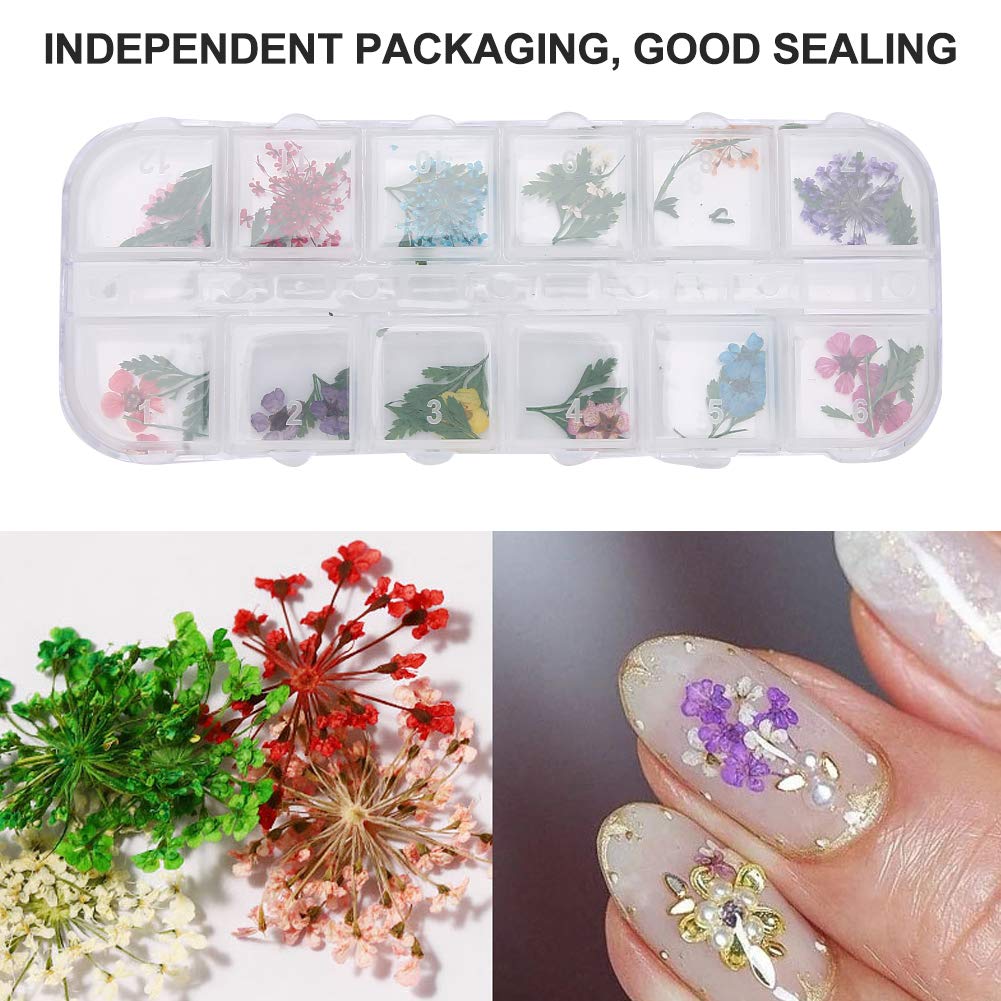 72 stuks gedroogde bloemen voor nagels, gedroogde bloemen