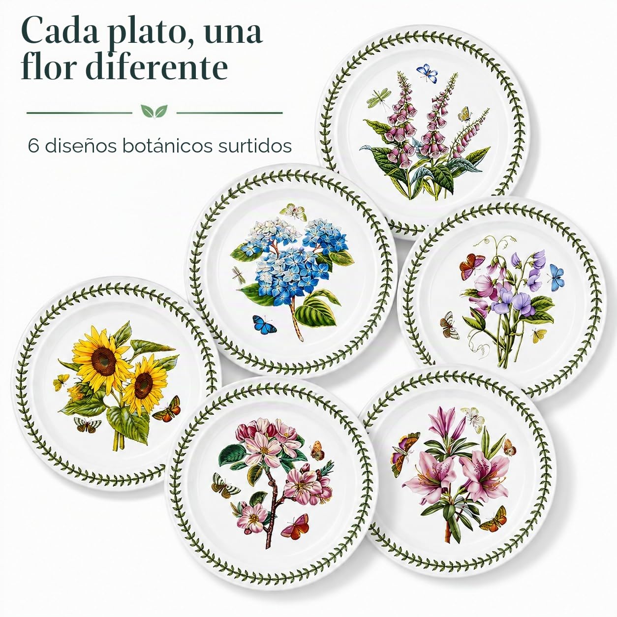 Portmeirion Botanic Garden - Juego de platos (6 unidades, 25 cm), diseño de flores