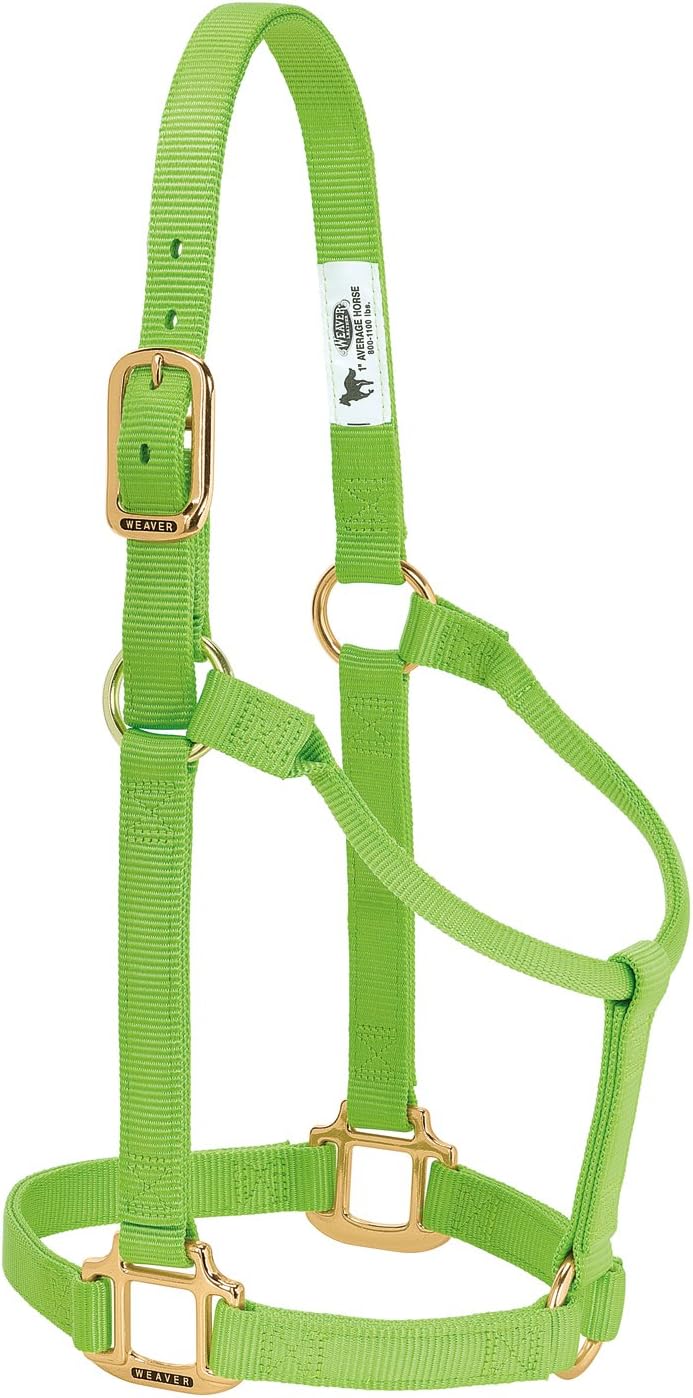 Weaver Leather Original Non-Adjustable Nylon Horse Halter, Average, Lime