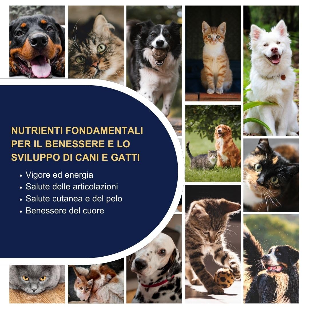 OMEGOR Pet Omega 3 per Cani e Gatti con EPA e DHA da Olio di Pesce Purificato - 60 Capsule di Omega3 IFOS Certificato per la Salute del Pelo e delle Articolazioni del tuo Pet