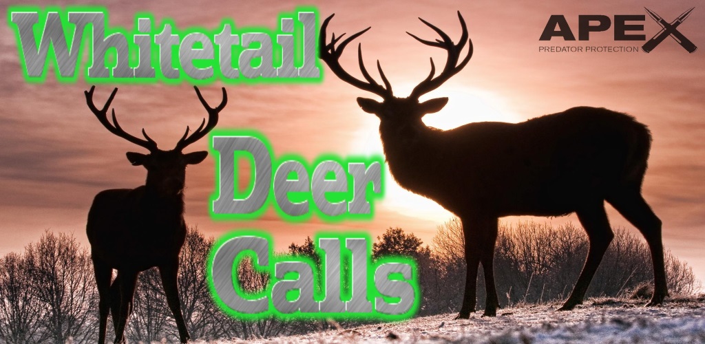 Whitetail Deer Hunting for Android