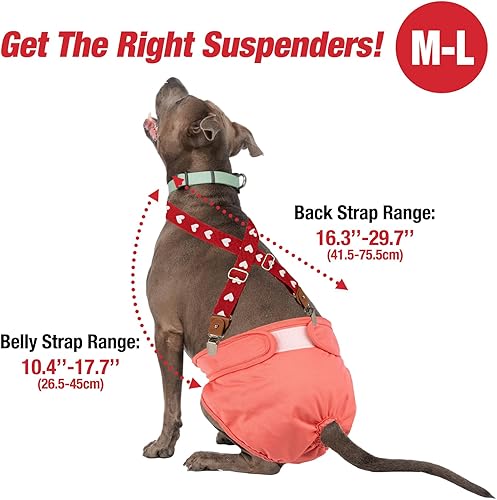 Miniatura 4 de Pet Soft Tirantes para perros 2 piezas de tirantes para pañales para perros tirantes para falda de perro vestido para perro marrón y rojo ML