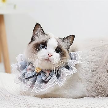 Amazon.co.jp: 猫首輪 レース バンダナお姫様 猫用首輪 リボン
