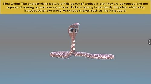 Diversity in Living: Reptilia