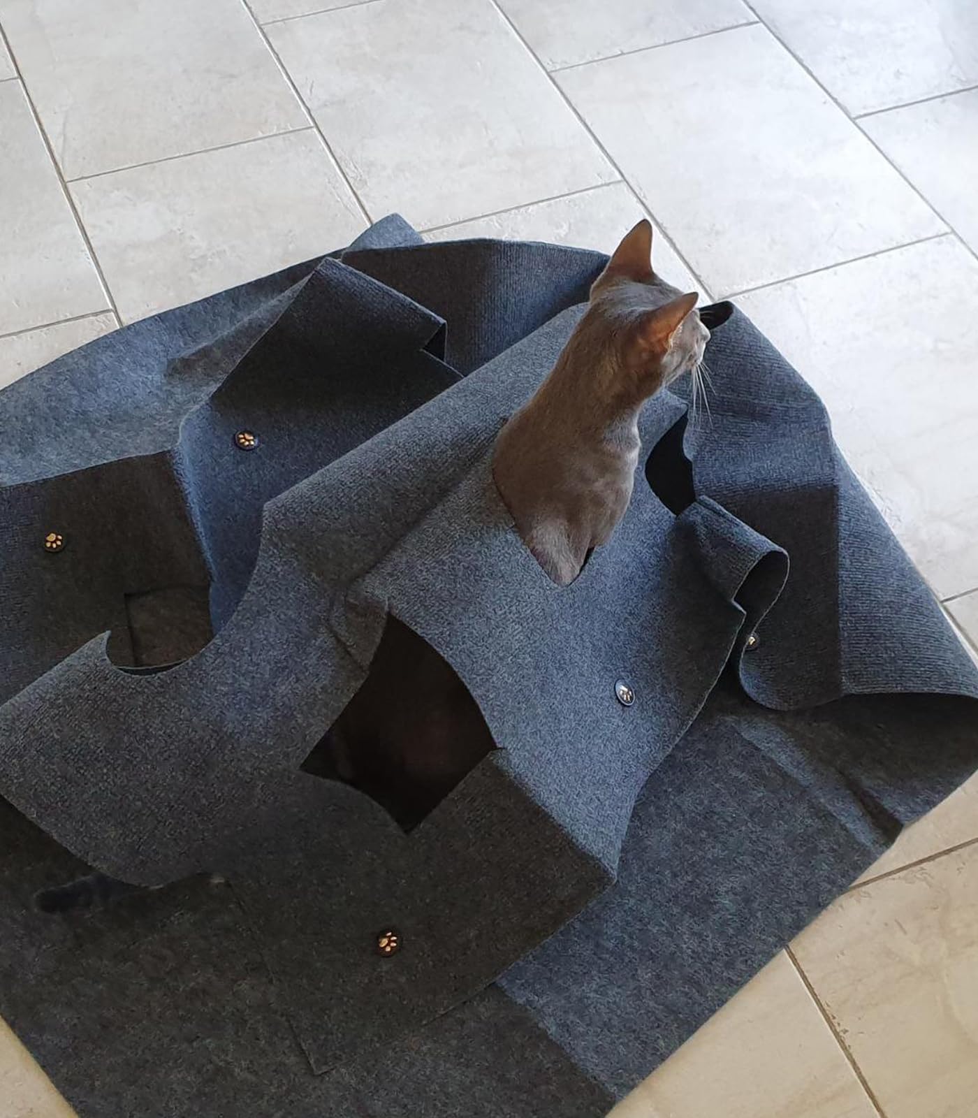 Tappetino da gioco per gatti e tiragraffi per gatti, tappetino da gioco interattivo, tappeto per gatti Cat Playground, grigio scuro