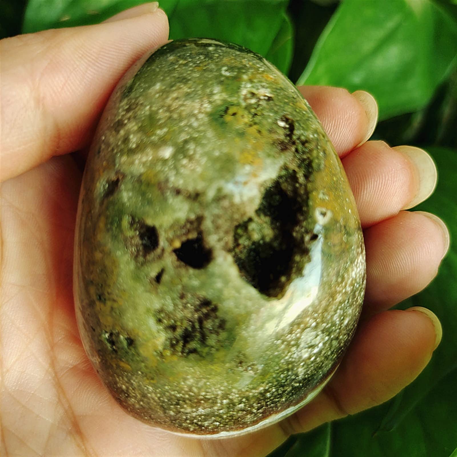Jaspe marin palmier en cristal naturel, le cadeau idéal pour collectionneur