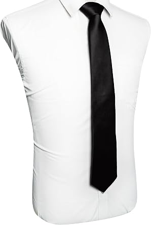 RBOCOTT Solid Color Tie Mens Necktie for Business and Wedding Party