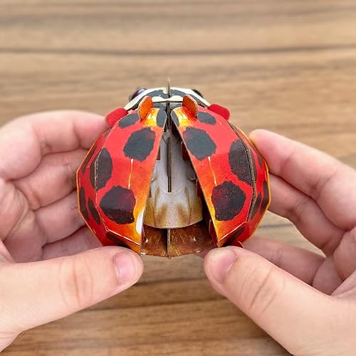 Miniatura 4 de Juguetes y juegos educativos tempranos, actividades STEM ecológicas y rompecabezas de papel 3D para niños autistas (edades de 7 años en adelante)..