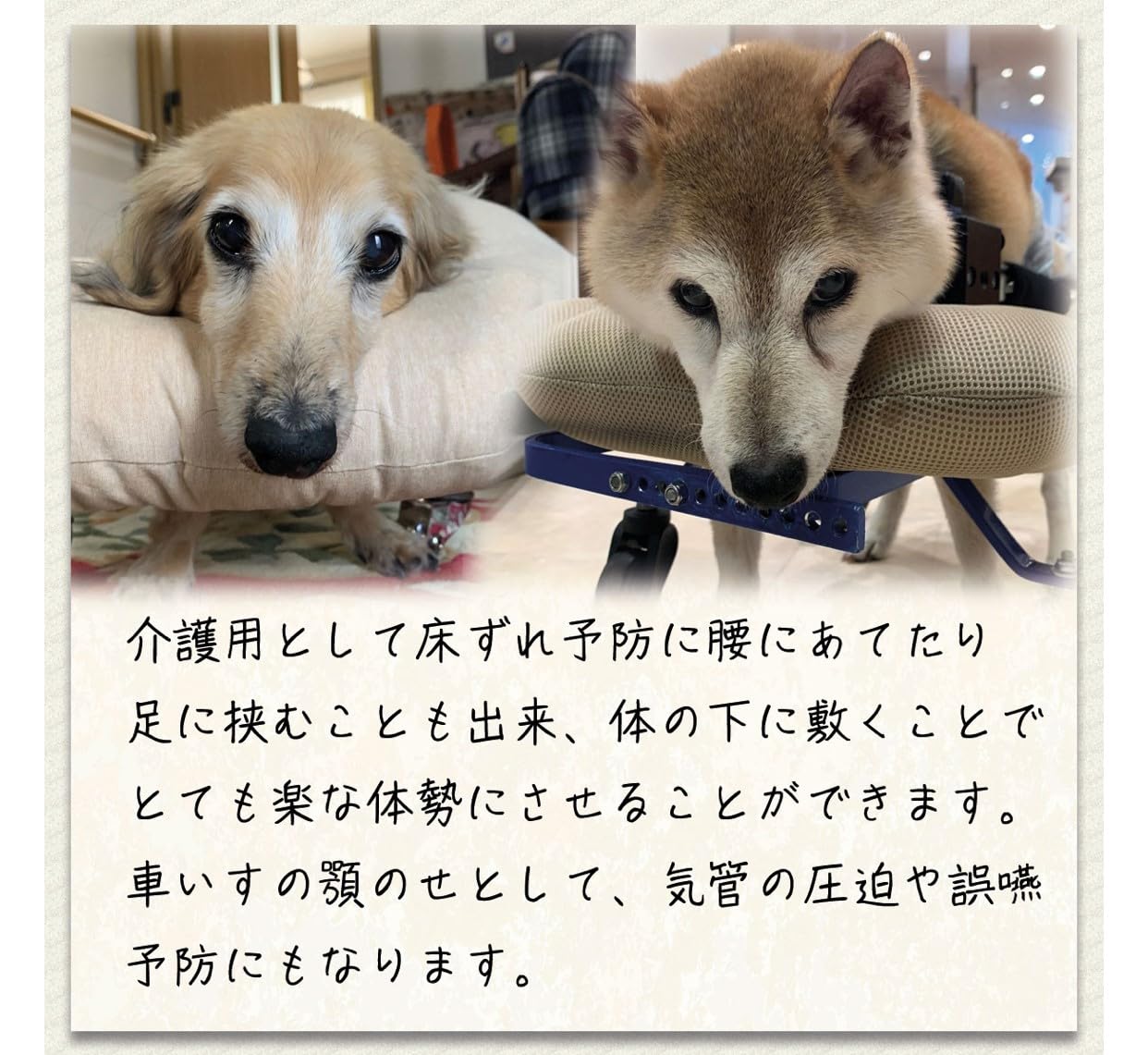 Amazon | ペット介護用品専門店芦屋バティーズ ペット用 顎のせ