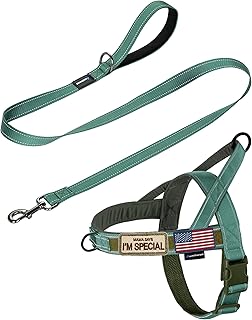 Annchwool No Pull Dog Harness with Padded Handle+5 Ft Leash,Reflective Strip Escape Proof and