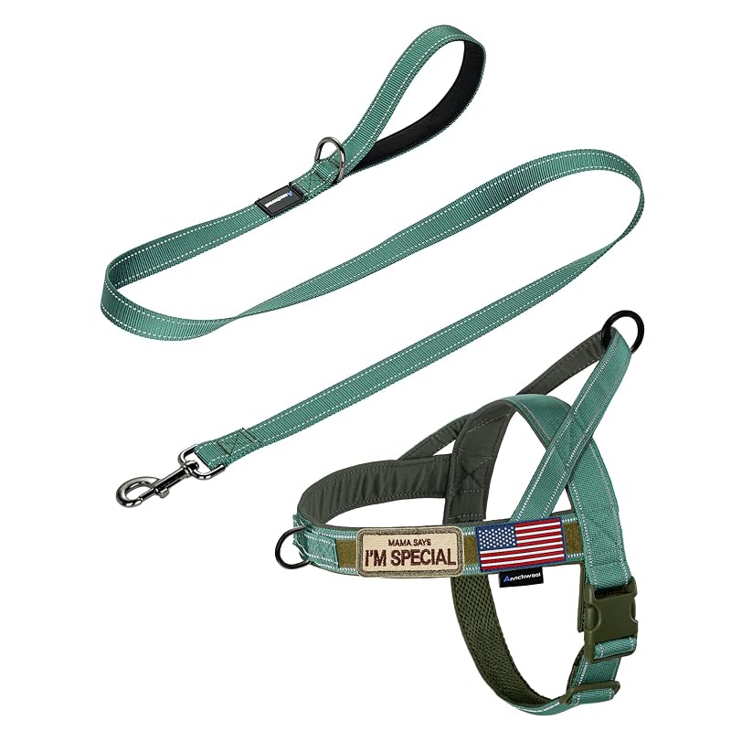 Peitoral para Cães Tipo Colete Antipuxão com Alça Acolchoada e Guia de 1,52 m Annchwool Reflective-Green Set, M