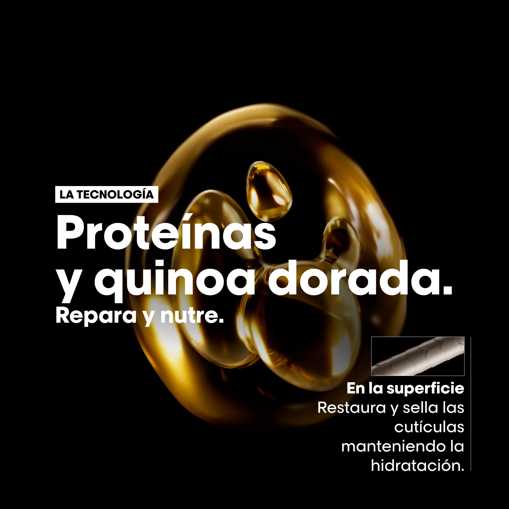 L'Oreal Professionnel Cofre Duo, Rutina Tratamiento Reconstructor para Cabellos Secos y Dañados, Absolut Repair