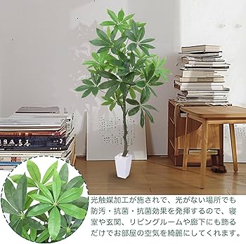 Amazon｜Heruiwin 人工観葉植物 フェイクグリーン 「パキラ 高さ120cm