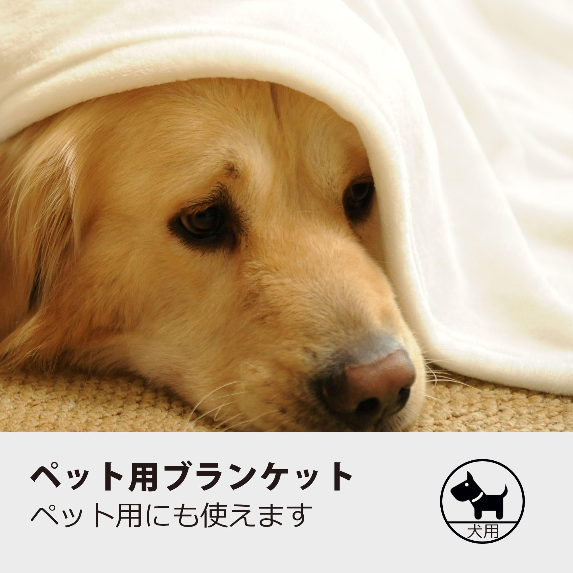 ピィAR PSA10 【公式通販】