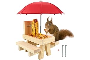 Squirrel Picnic Table Feeder With Umbrella