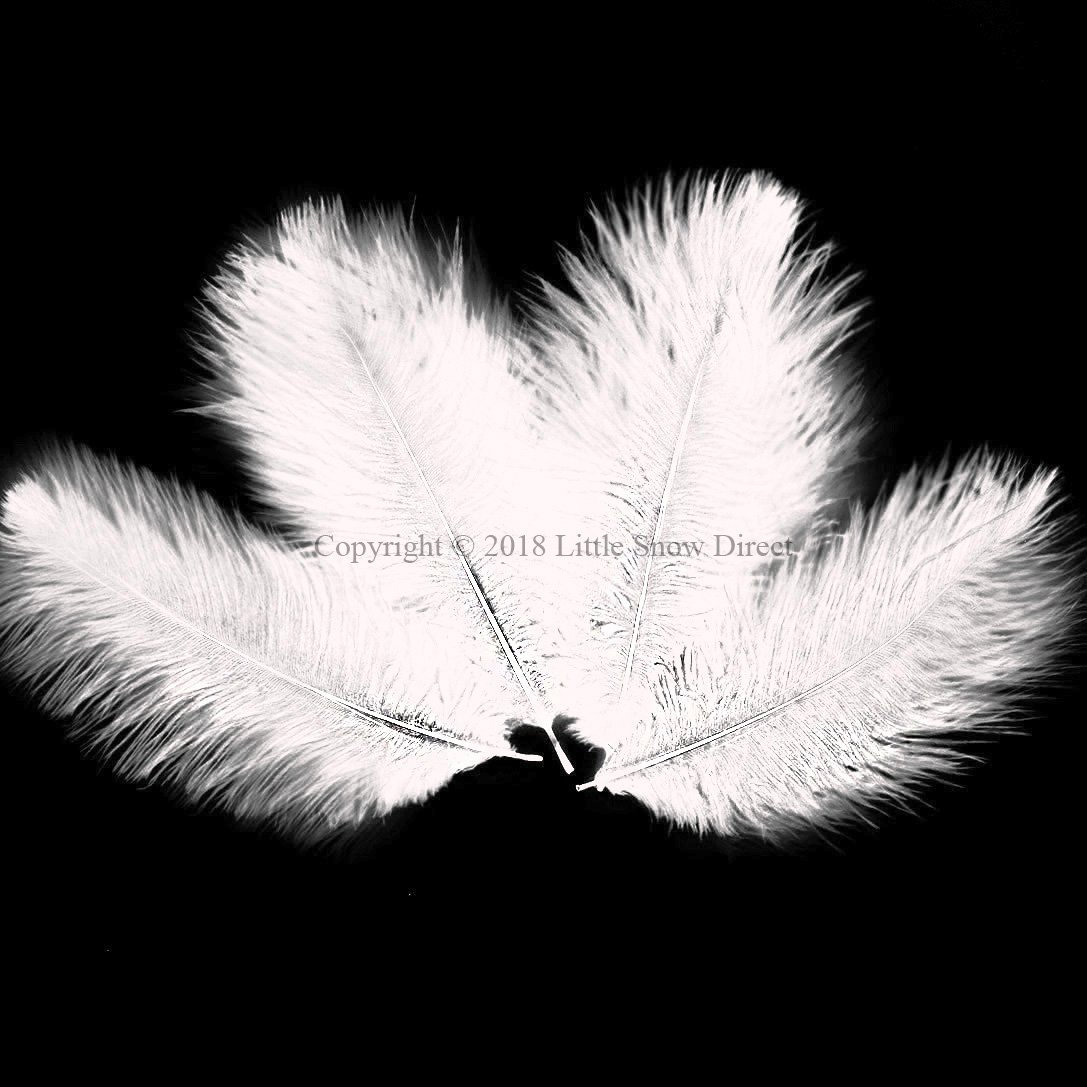 Little Snow Direct 10PCS Ostrich Feathers Plumes Fluffy 6-8 Inches Long - White