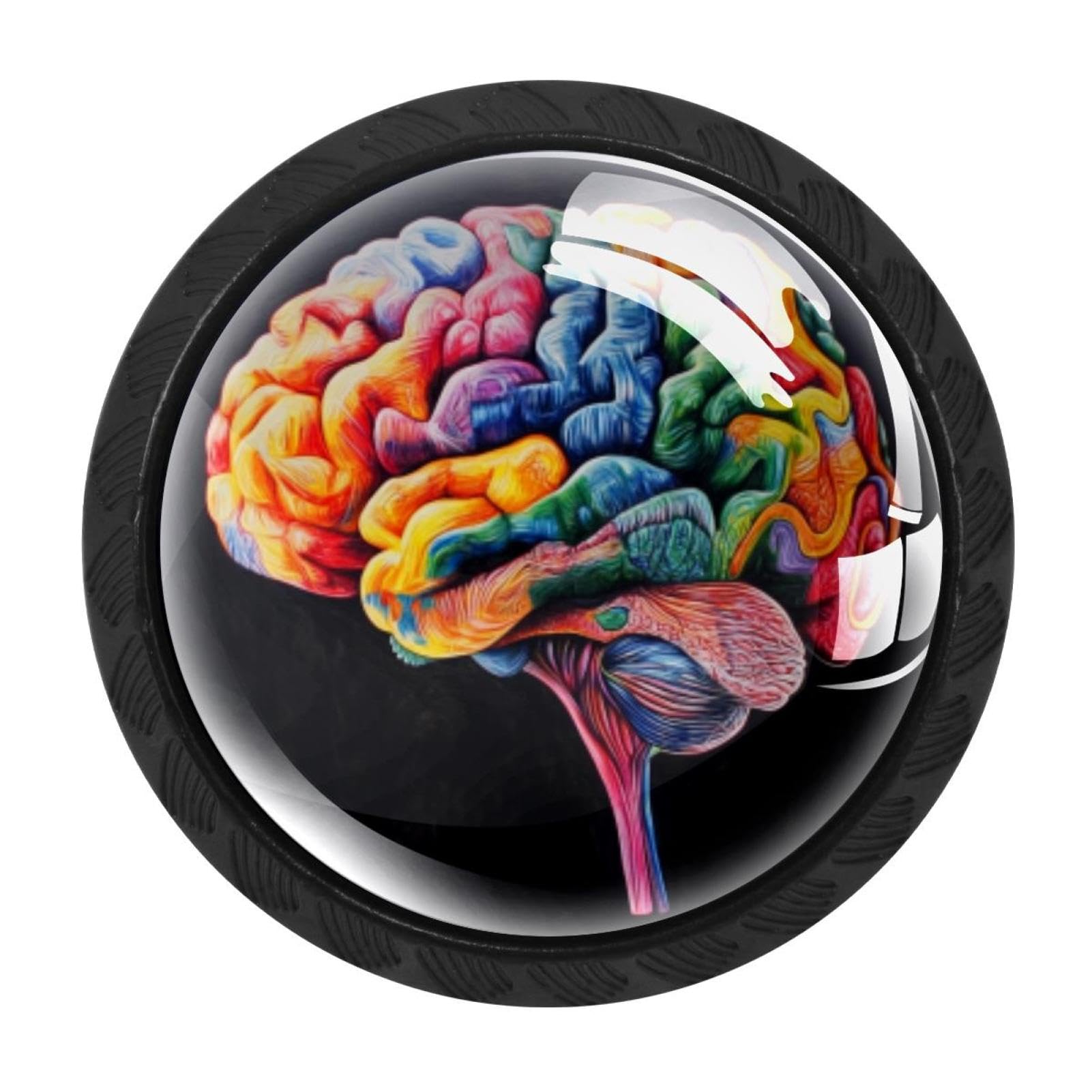 CHENZZZZ 4 Pieces Colorful Human Brain (2) Drawer Knobs, 35mm Black Kitchen Cabinet Knobs, Drawer Pulls and Knobs, Glass Cabinet Hardware Single Hole Knob for Cabinets and Drawers Round