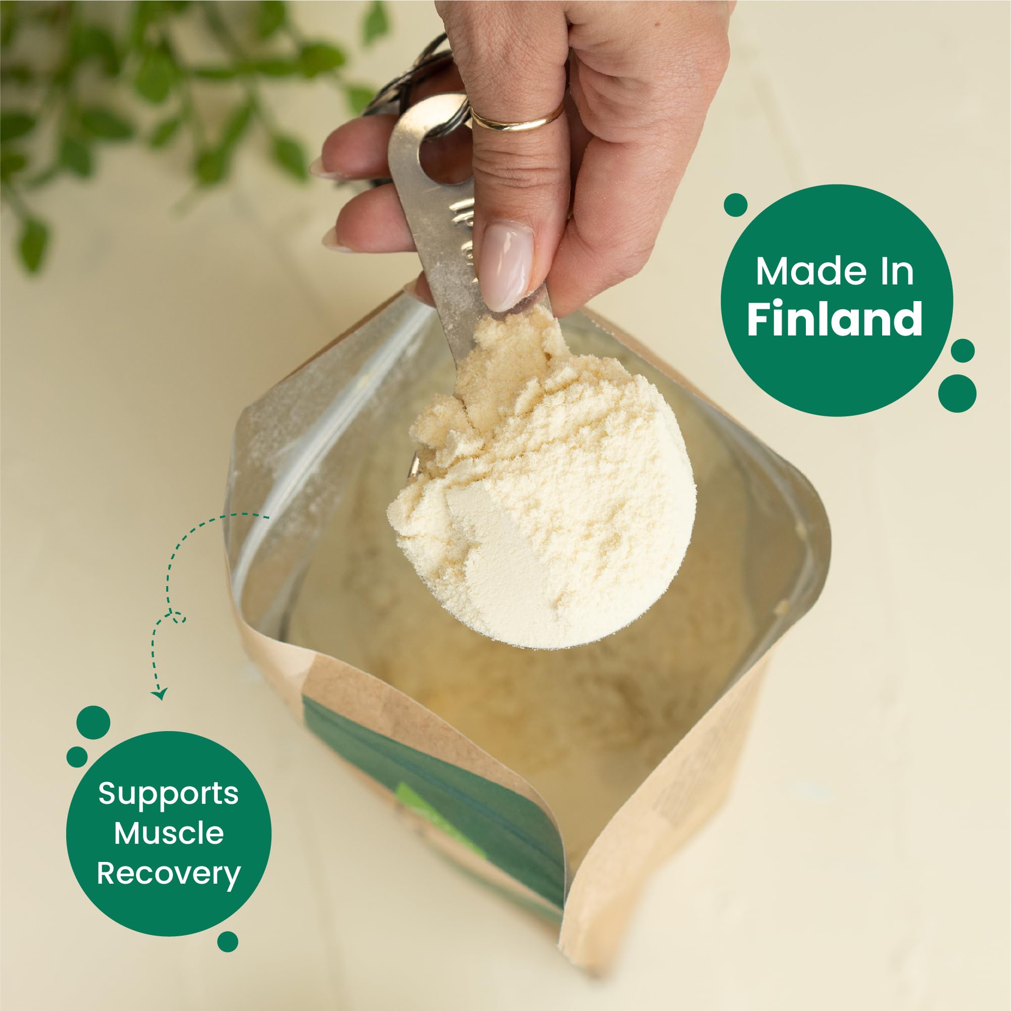 FOODIN Riso proteico in polvere 650 g, di riso germinato, senza glutine e polvere proteica vegana senza dolcificante artificiale, vaniglia