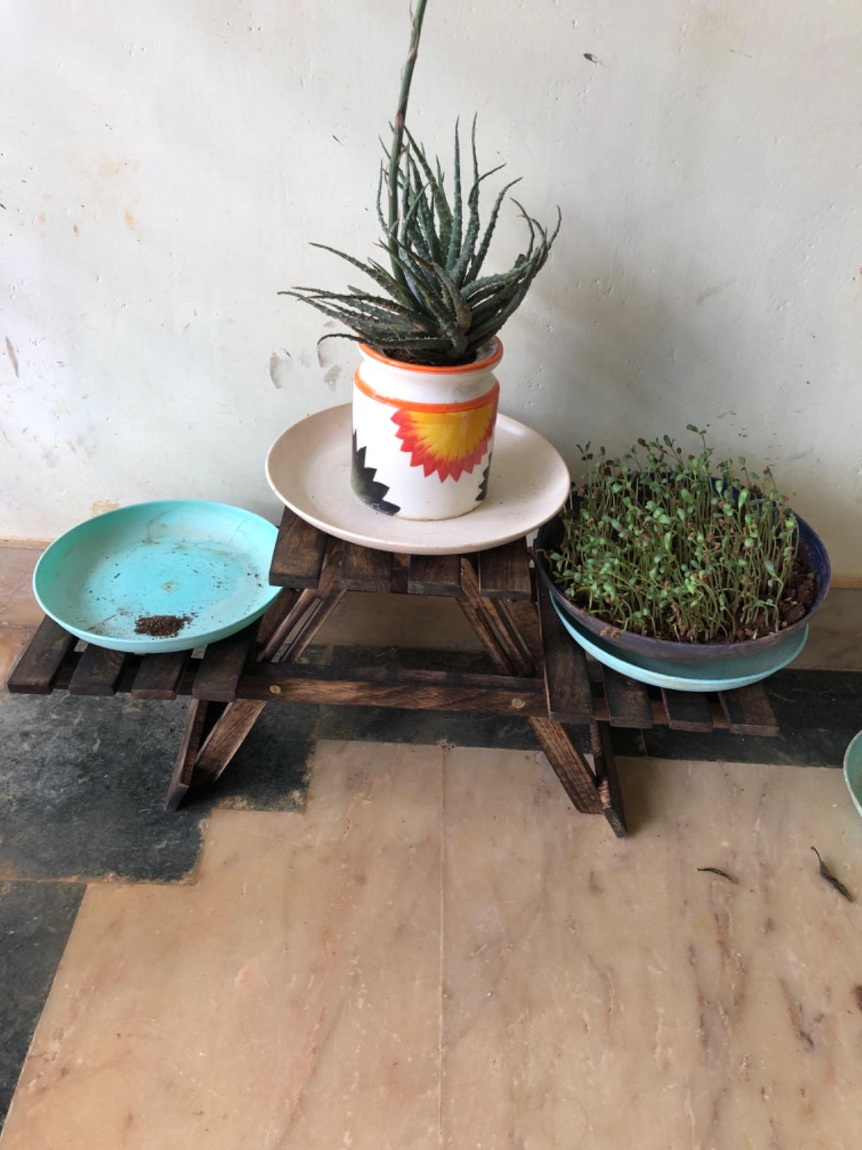 Craftatoz Living room Side Table/ Wooden Stool / Flower Pot / Flower