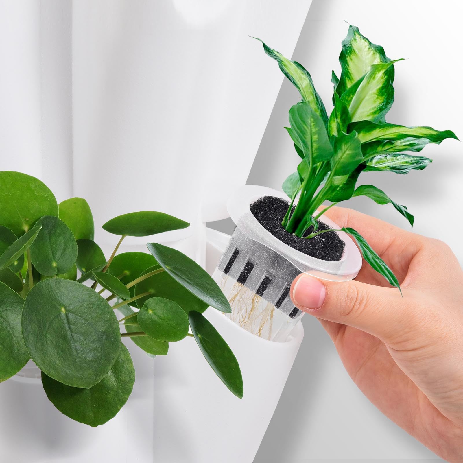 Genérico Kit de Torre hidropónica de 12 Niveles 60 Agujeros. Torre de Cultivo hidropónico Vertical con Bomba de Agua depósito de Agua móvil de 50 l. Sistemas de Cultivo para Hierbas, Frutas Verduras