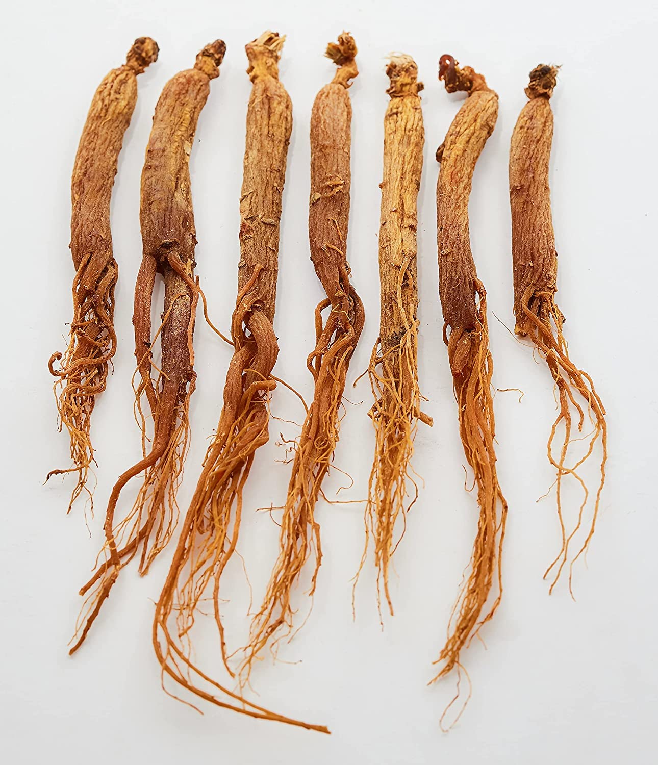 abamec Korean Red Ginseng | 6 Year Old Whole RootsPremium Grade, Very Large, and Sugar Free | High Ginsenosides for Energy, Mental Health and Performance for Men & Women