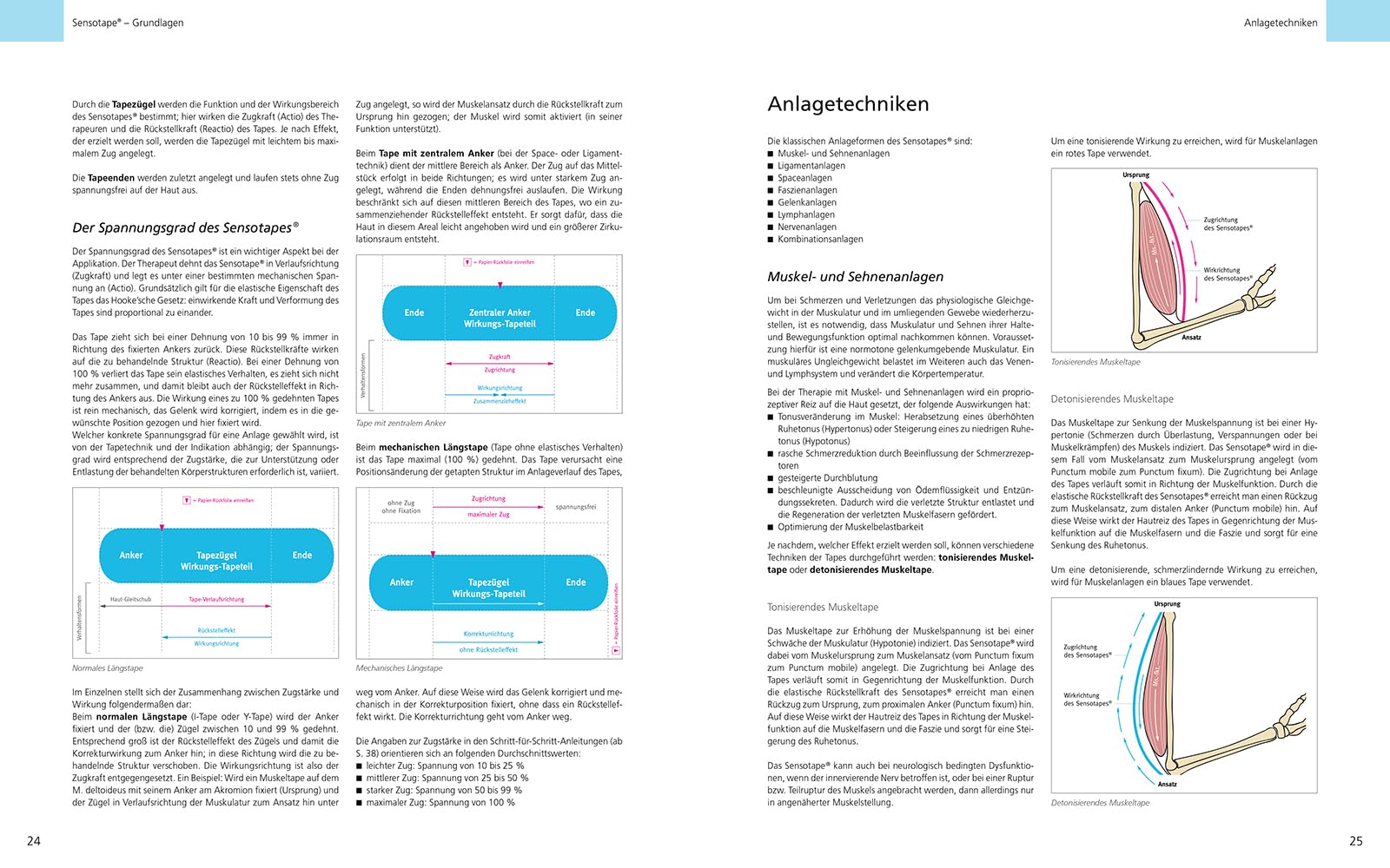 Taping – Der große Bildatlas kinesiologisches Tapen. Grundlagen | Anlagetechniken | Anwendung
