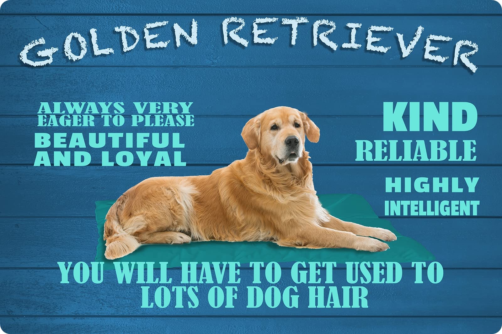 OntradaTin Sign 20 x 30 cm Curved Golden Retriever Dog Very Eager Decorative Gift Sign