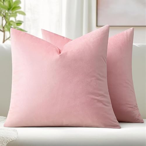 MIULEE Velvet Throw Pillow Covers 18x18 Inch, Pack of 2
