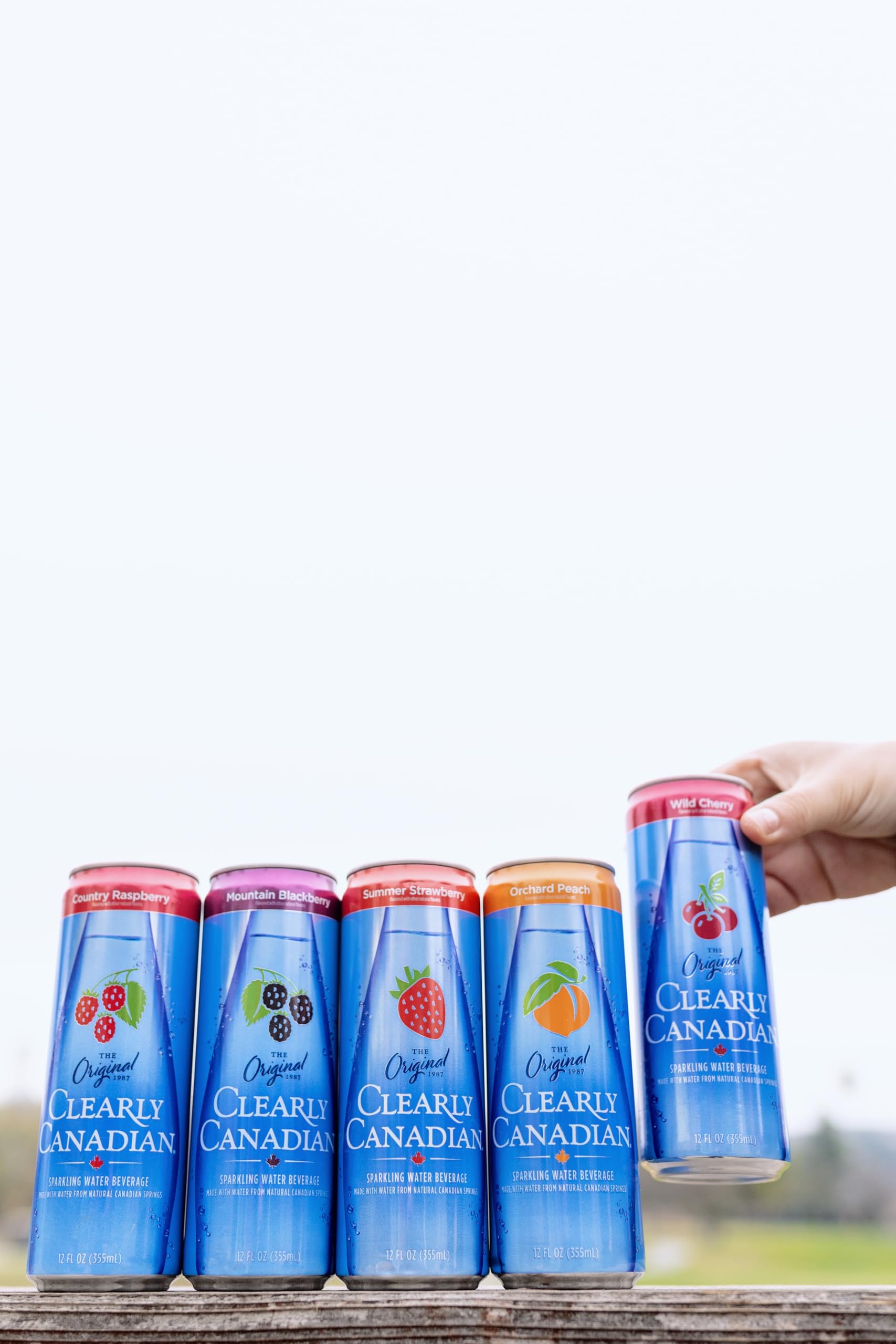 Amazon.com : Clearly Canadian Wild Cherry 6pk Cans : Grocery