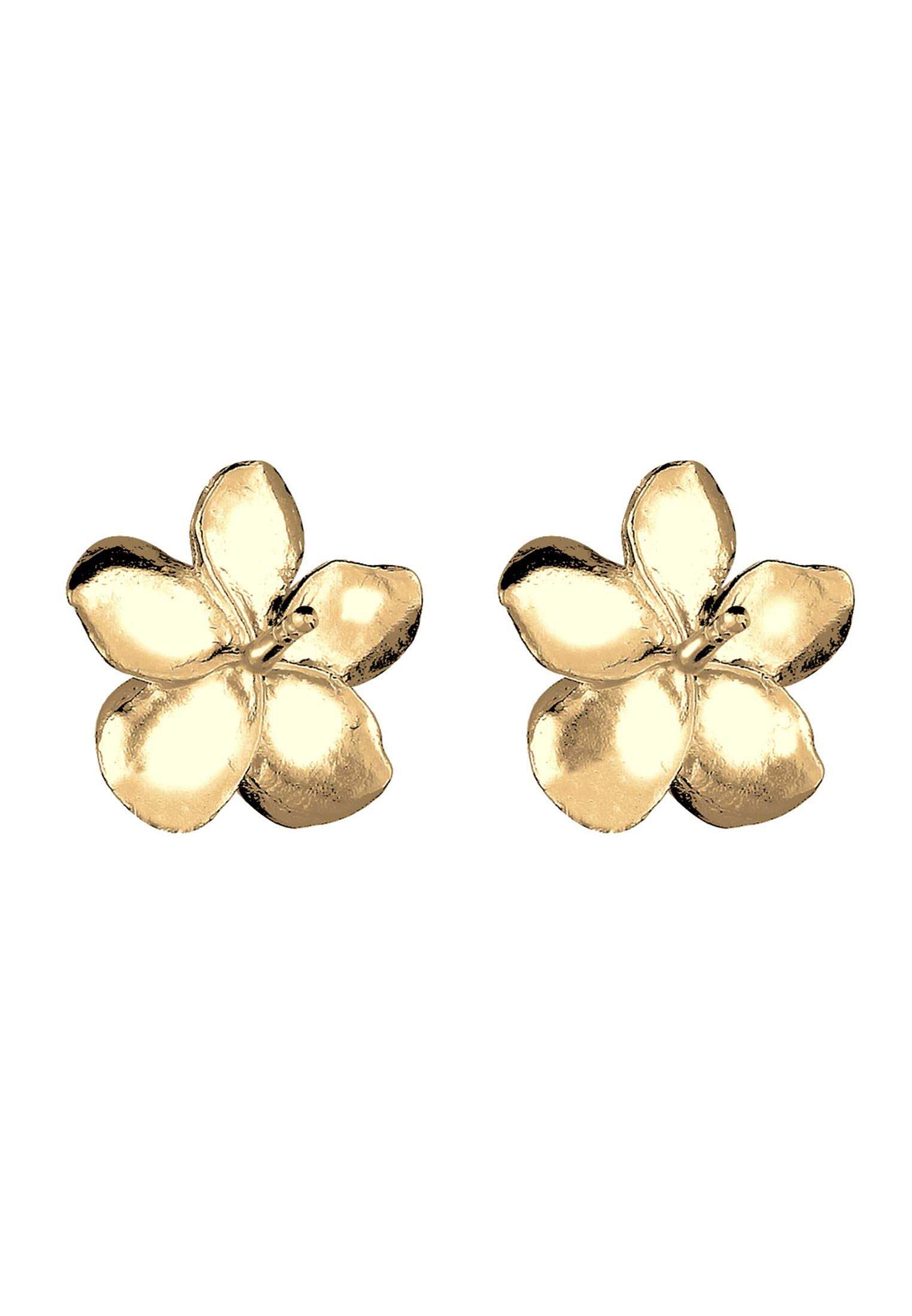 Elli Damen-Ohrringe, Frangipani-Blume, Natur, filigran, aus Sterling-Silber 925