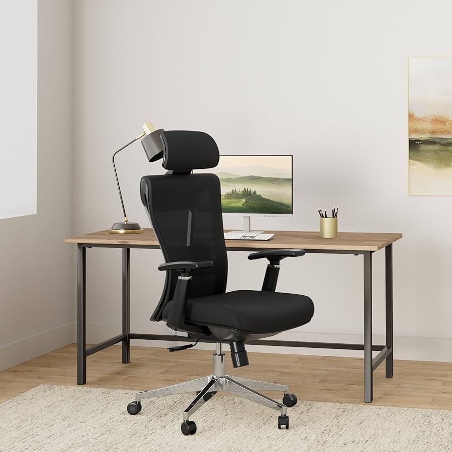 Amazon.com: Tribesigns Ergonomic Office Chair, High Back