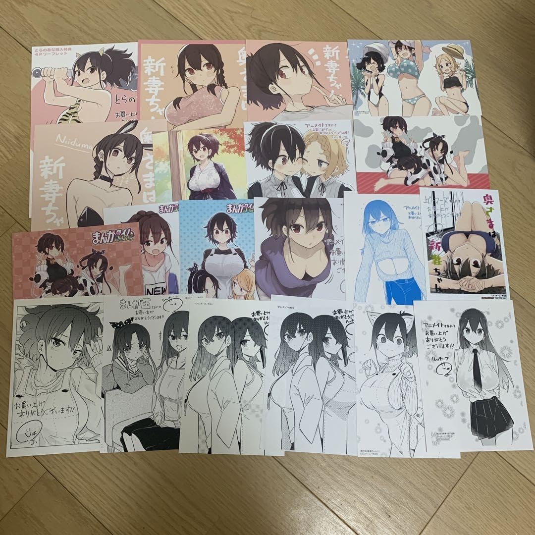 Amazon.co.jp: 奥さまは新妻ちゃん 書き下ろし冊子 特典セット : おもちゃ